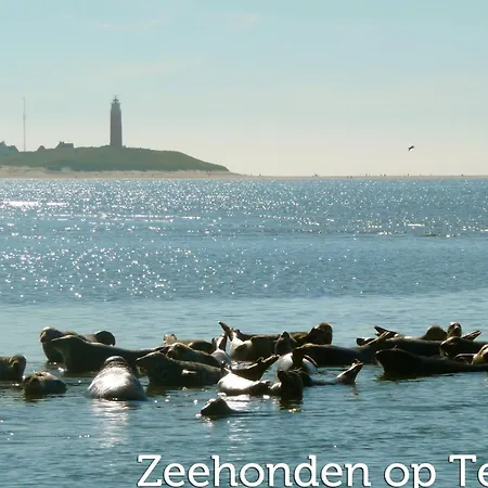 Texel W Balcony Apartamento *