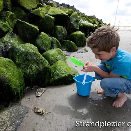 Texel W Balcony *