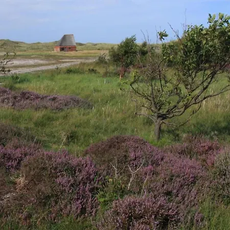 Apartamento Texel W Balcony Westermient